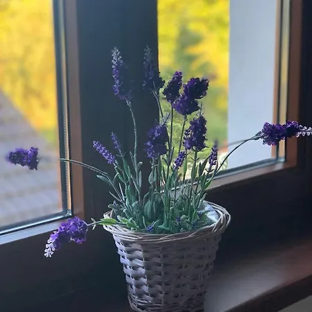 Ubytování v soukromí U Maxíka Suchdol nad Luznici