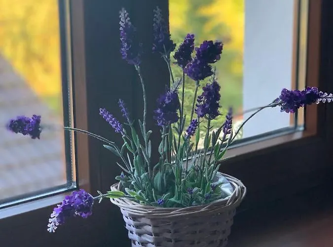 Rum i privatbostad U Maxika Suchdol nad Luznici